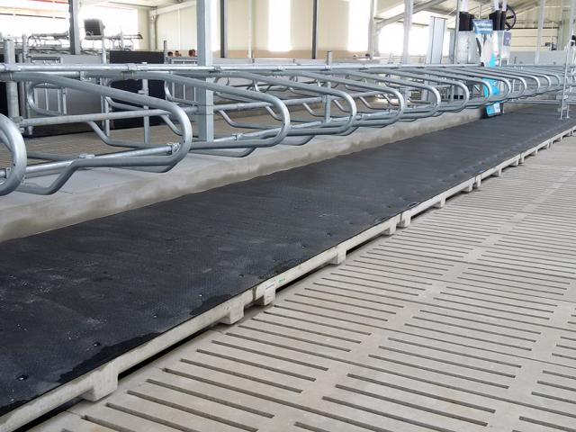 Legowiska Dla Bydla I Ruszty