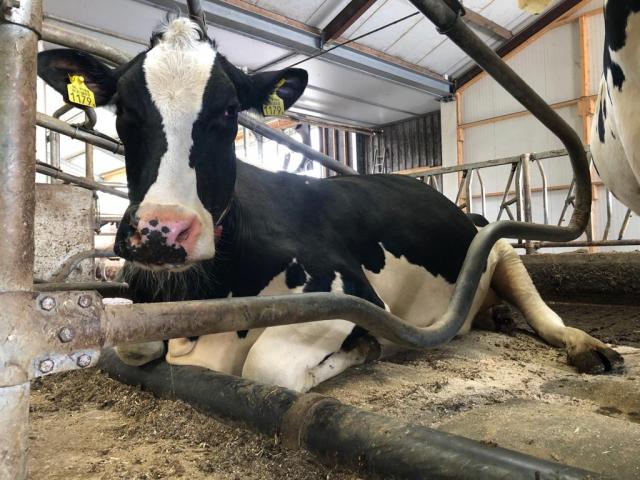 Whatsapp Image 2022 04 22 At 1.51.05 Pm