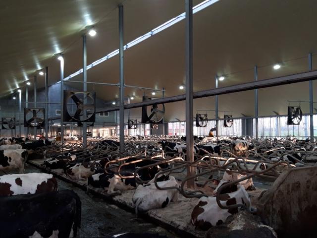 Zrzut Ekranu 2022 04 21 084410