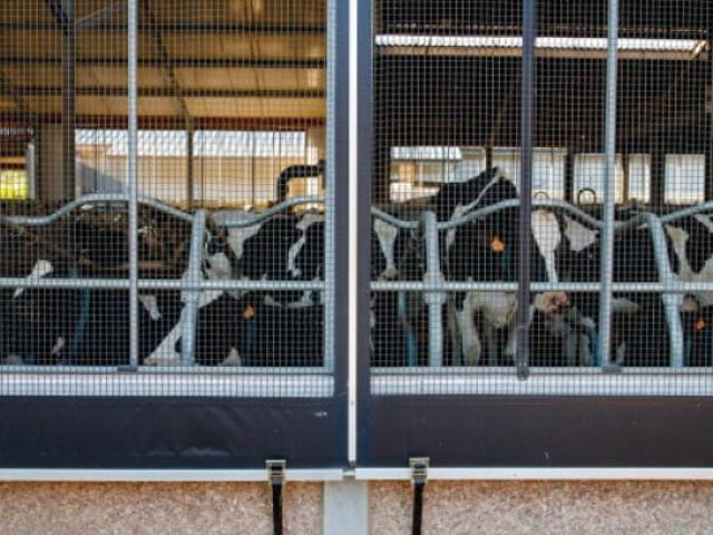 Zrzut Ekranu 2022 04 21 090044